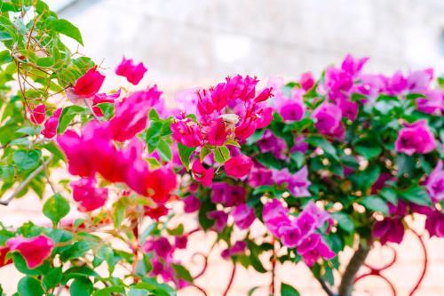 Ruby Homestay Phu Yen in Tuy Hòa (Phú Yên)