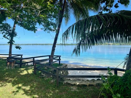 Lapita Beach Aore Island Vanuatu