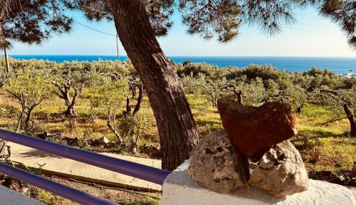 Studios Crete, Ferma (Foto 8)