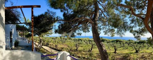 Studios Crete, Ferma (Foto 7)