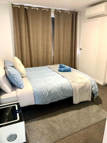 Comfy & Sunny home in Wellington--3 Heat Pumps, Wellington (foto 5)