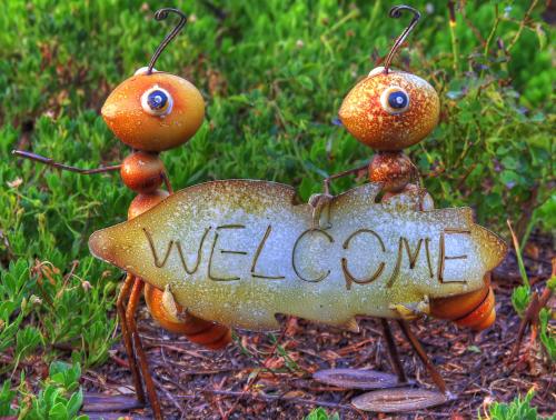 Governors Hill Carapark Governors Hill Carapark