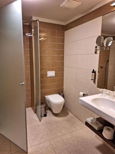 Duna Garden Hotel - image 10