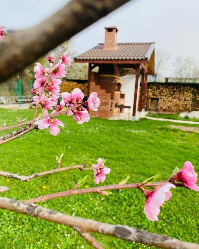 Serenity Garden Villa