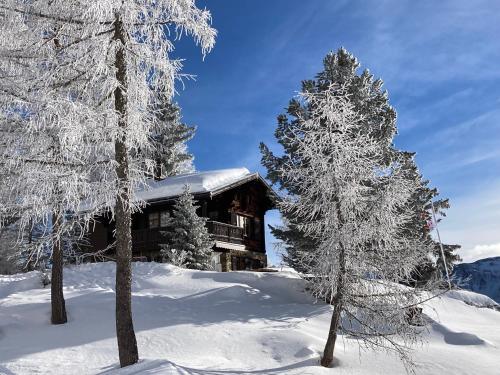 Chalet Balfrin Alpweg 9 Postfach 2038 Riederalp