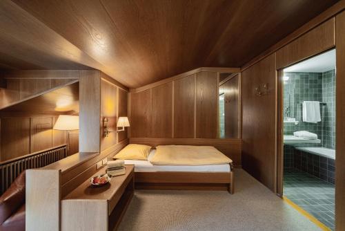 Seiser Alm Plaza - image 14