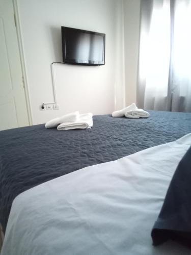 EvropisHouse, Kozani (fotografie 3)