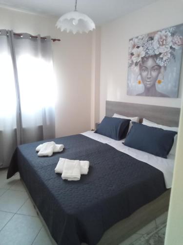 EvropisHouse, Kozani (fotografie 4)