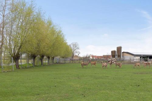 Family house with a beautiful view in Damme