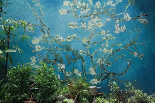 弱水咖啡国际青旅 Only Cafe and Backpacker – Chungking (Chongqing), KY