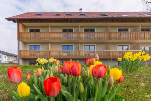 Chalet An der Brunnader - Ihr perfekter Rückzugsort in der Bayerischen Toskana