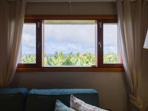 周邊環境, Sunset Banana Plantation House with sea views and private pool by CanaryScape in 阿魯卡斯