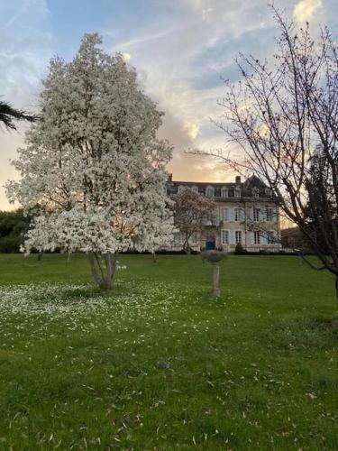 Château Rieucazé