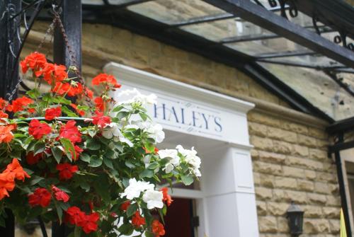 Haley's Hotel - image 10