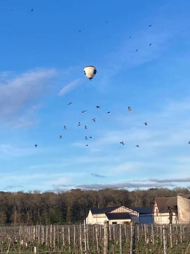 La Tibourdière : au coeur du pays des châteaux, maison au calme entre vignes et champ