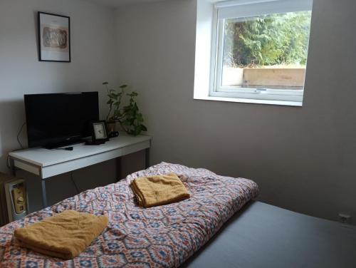 Newly Renovated 2 Bedrooms Apartment - Walking distance to Everything in Moss in Мосс