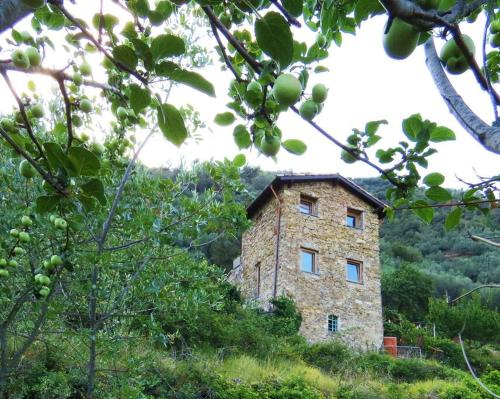 Cà Panù gîte à louer Isolabona