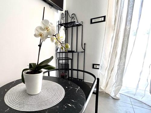 Apartment Diva, Zambratija (foto 3)