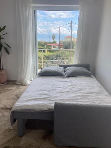 Villa Delfini, Chrani (foto 10)