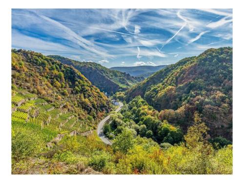 Eifel holiday home with pool