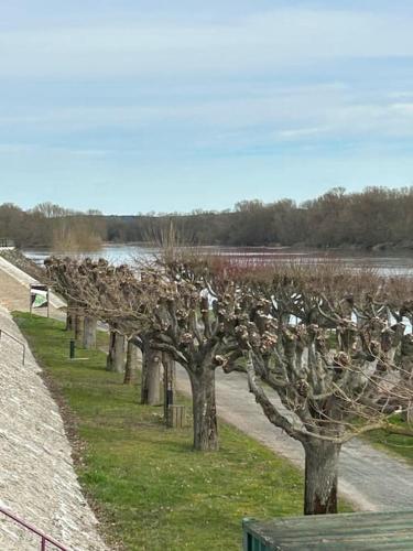 La Marinière de Loire