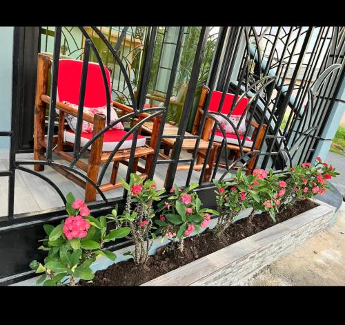 E & J Lifestyle in Rio San Juan