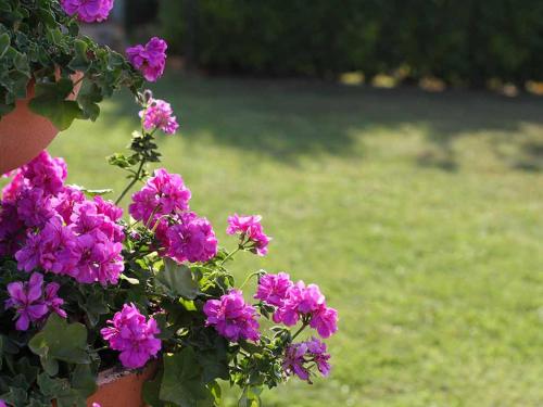 DA ROSA B&B – Neviglie, NY