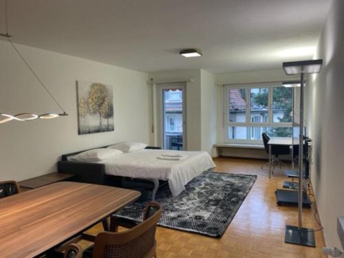 Cozy, sunny, city center 1 bedroom flat (Marble 3)