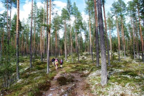 15 Nasjonalpark - Sykling - fisking - kanopadling - skogs- og fjellturer - Apartment - Ljørdal