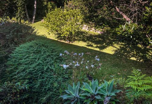 Northerly Beach Pad - Ocean Panorama