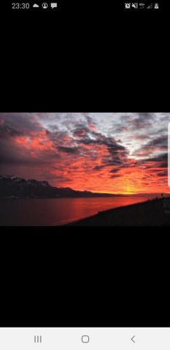 Paradis sur Léman - Apartment - Chardonne