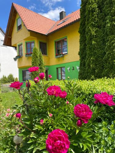 Haus Rosa in Sankt Johann, Deutschland