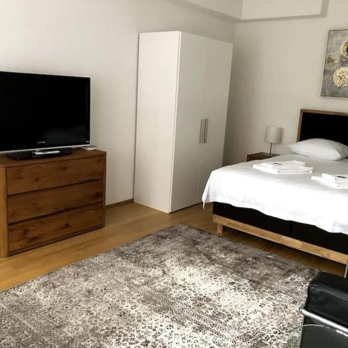 Nice 1BR flat - city center with balcony - West3, Zúrich (foto 3)