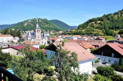 Studio Elena, centre village avec vue - Location saisonnière - La Bresse