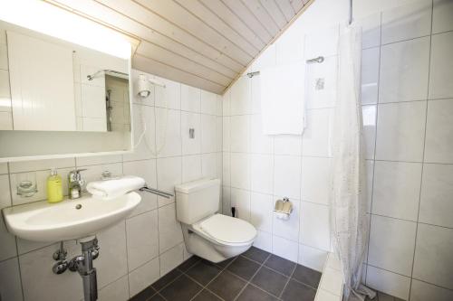 Hotel Restaurant zum Sternen Room Type - Deluxe Double Room