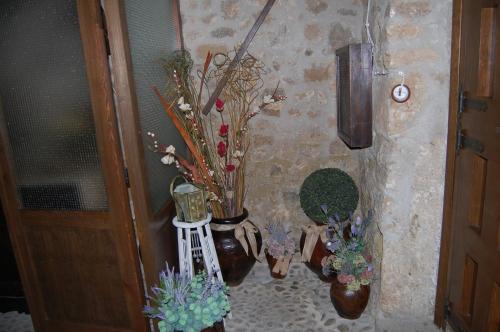 Apartamentos Rurales Tía Josefa - image 3