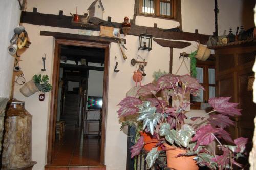 Apartamentos Rurales Tía Josefa - image 4