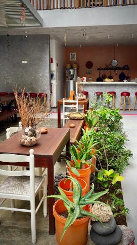 Casa de Poço Guest House and Gallery (Casa de Poco Guest House and Gallery) in Mindelo