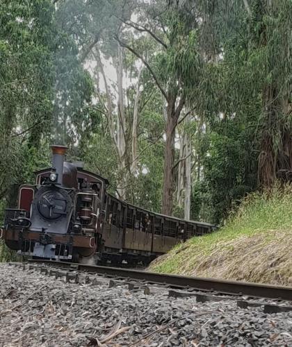 Forest Hideaway - Puffing Billy Railway