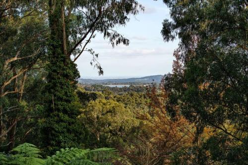 Forest Hideaway - Puffing Billy Railway