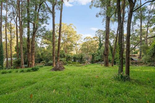 Forest Hideaway - Puffing Billy Railway