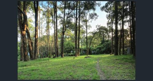 Forest Hideaway - Puffing Billy Railway