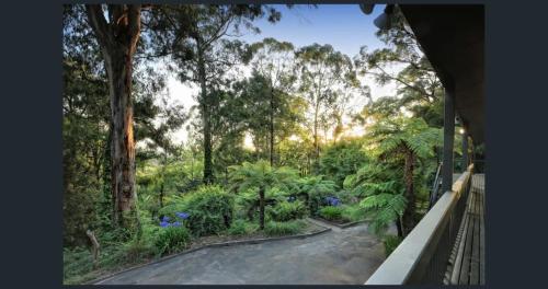 Forest Hideaway - Puffing Billy Railway