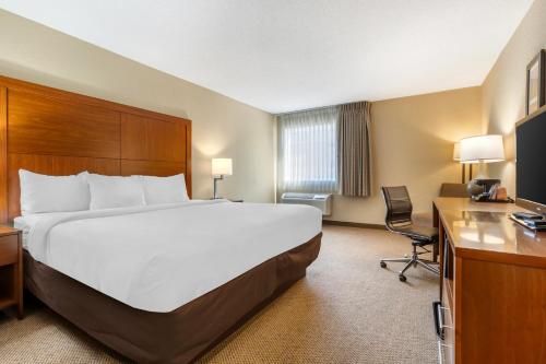 Comfort Inn & Suites Convention Center - image 42