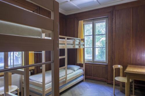 Single Bed in Dormitory Room