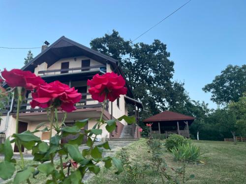 . Vila Plavinac