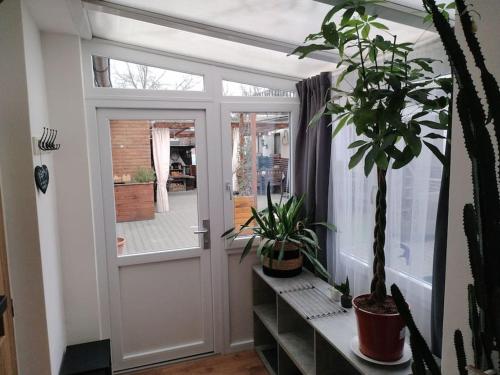 Love Home in ชิห์