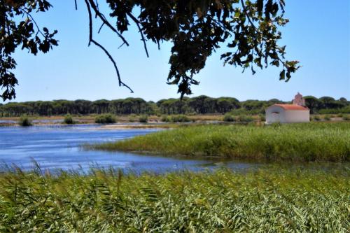 Kalogria Beach Apartments