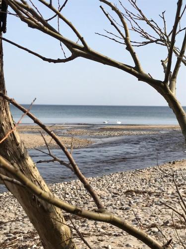 A környék, Villa Brösarp - Villa Brösarp (Villa Brosarp - Villa Brosarp) in Brosarp