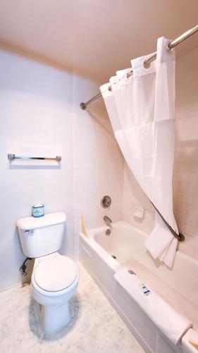 Shilo Inn Suites Hotel - Helena - image 12